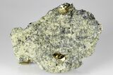 Pyrite Crystals in Matrix - Nærsnes, Norway #177278-4